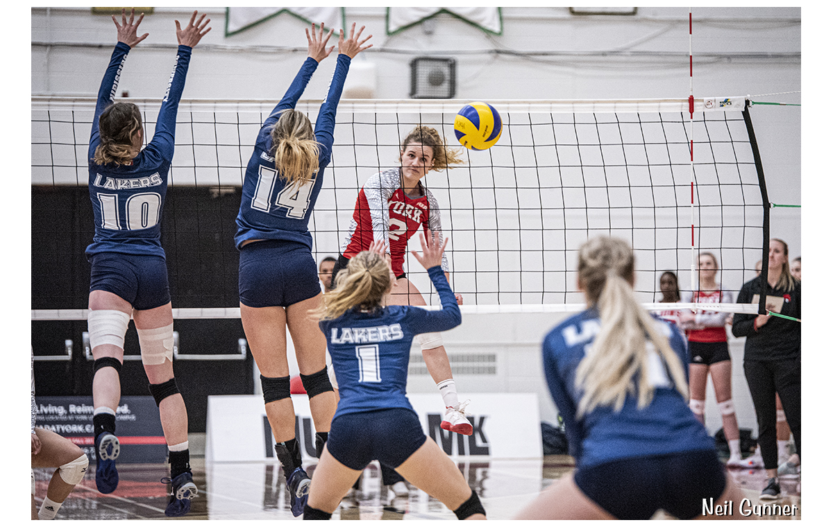 Top 20 Sports Image 4: volleyball slam