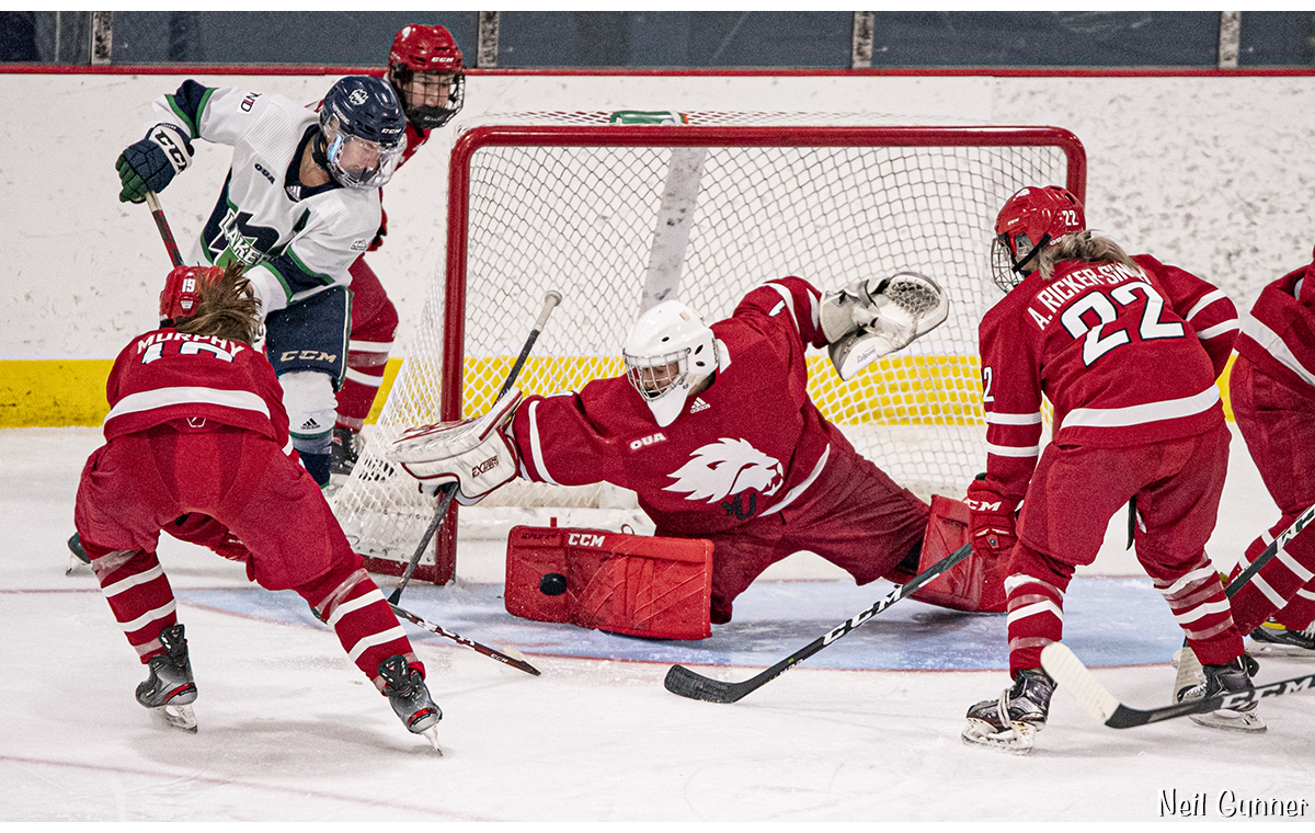 Hockey Image 17: goalie makes a save