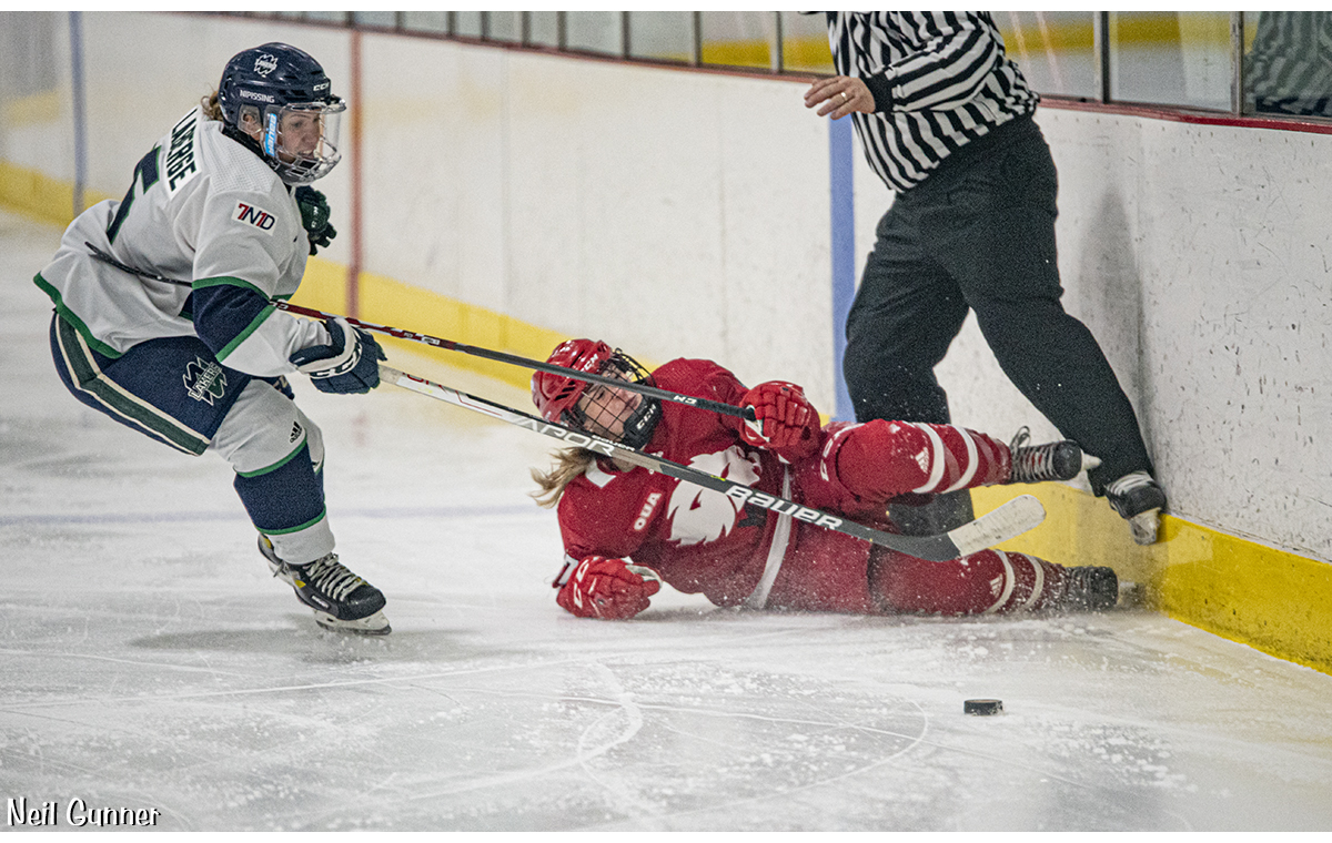 Hockey Image 18: player takes a tumble