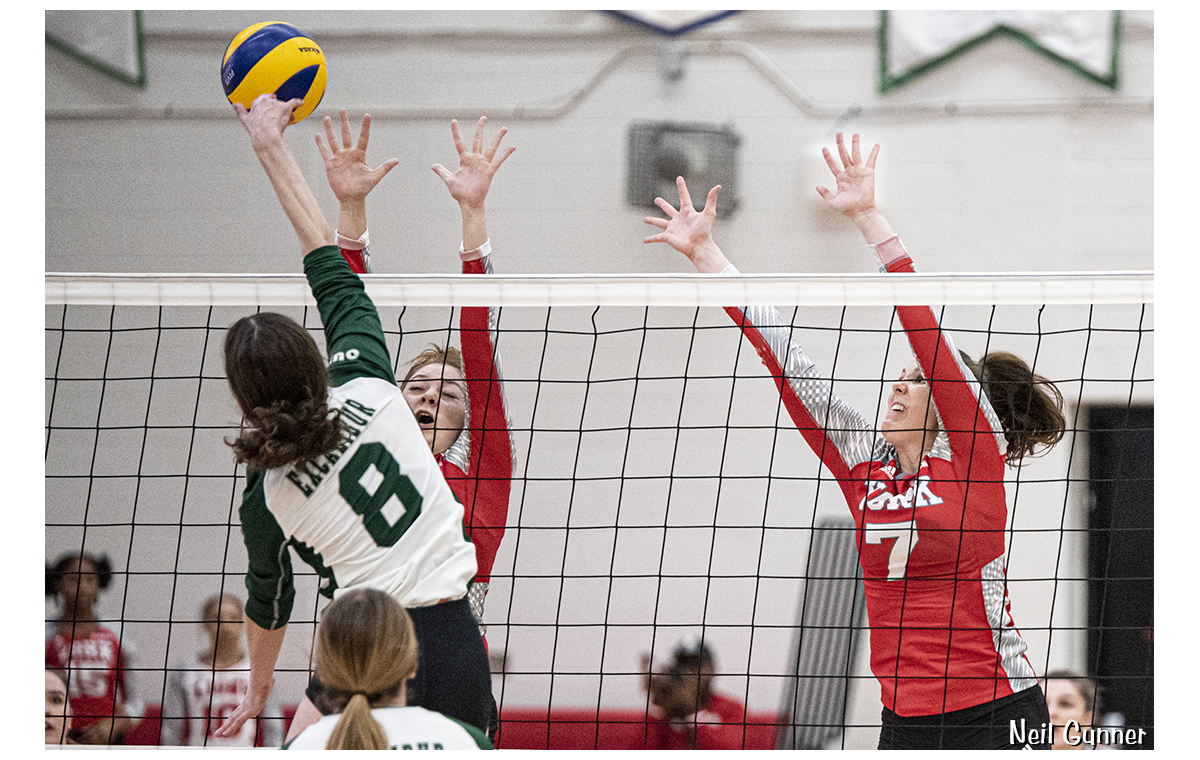 York University Lions volleyball action