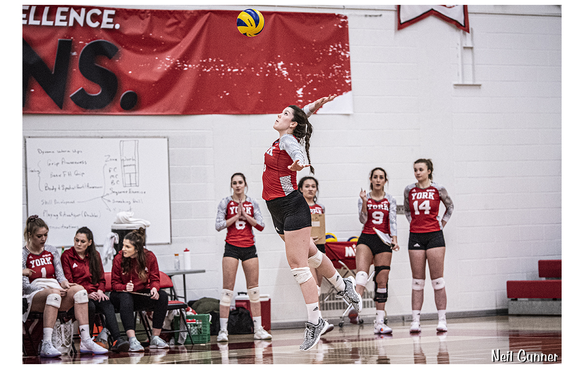 York University Lions volleyball action