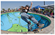 Skateboarders thumbnail 12