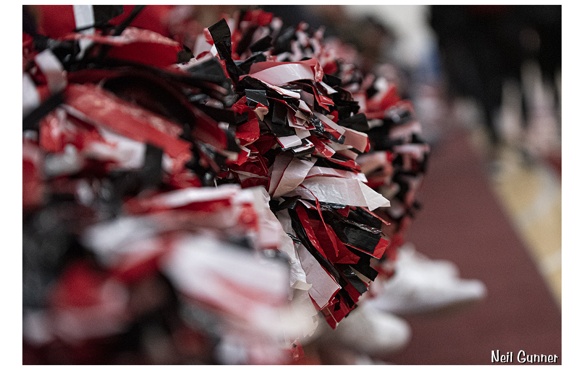 Cheerleader pom poms